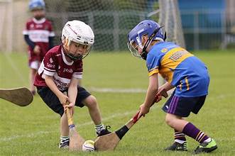 U7 Hurling Skills Day